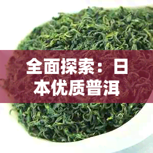 全面探索：优质普洱茶排行榜，让你轻松挑选茶叶