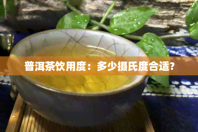 普洱茶饮用度：多少摄氏度合适？