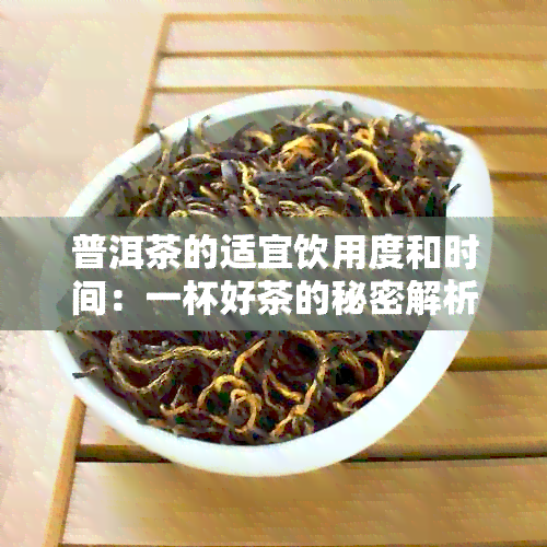 普洱茶的适宜饮用度和时间：一杯好茶的秘密解析