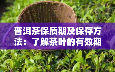 普洱茶保质期及保存方法：了解茶叶的有效期，确保品饮品质