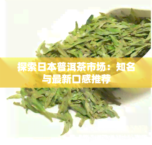 探索普洱茶市场：知名与最新口感推荐