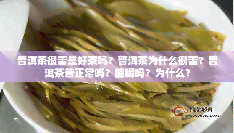 普洱茶很苦是好茶吗？普洱茶为什么很苦？普洱茶苦正常吗？能喝吗？为什么？