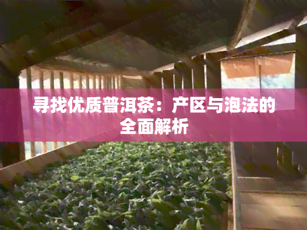 寻找优质普洱茶：产区与泡法的全面解析