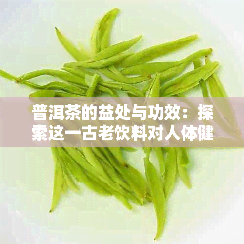 普洱茶的益处与功效：探索这一古老饮料对人体健的多重影响