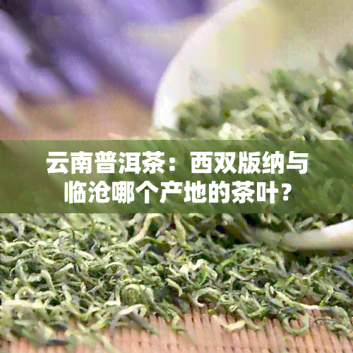 云南普洱茶：西双版纳与临沧哪个产地的茶叶？