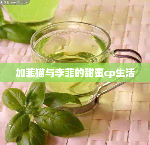 加菲猫与李菲的甜蜜cp生活