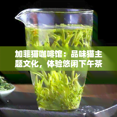 加菲猫咖啡馆：品味猫主题文化，体验悠闲下午茶时光