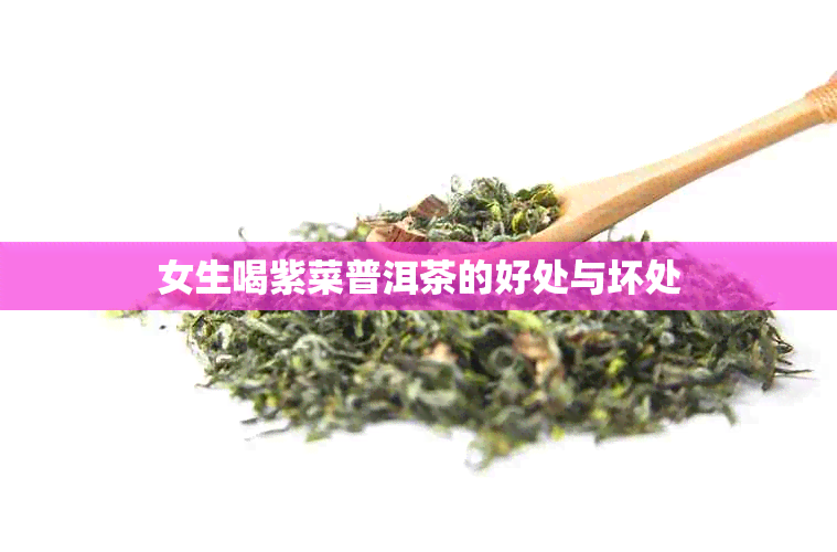 女生喝紫菜普洱茶的好处与坏处