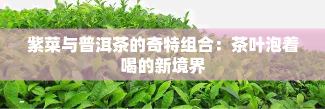 紫菜与普洱茶的奇特组合：茶叶泡着喝的新境界