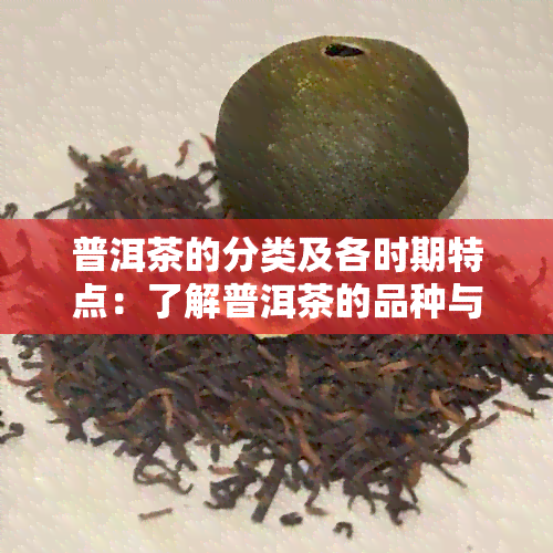 普洱茶的分类及各时期特点：了解普洱茶的品种与品质