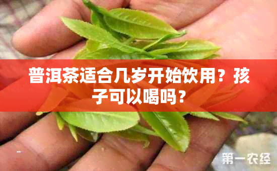 普洱茶适合几岁开始饮用？孩子可以喝吗？