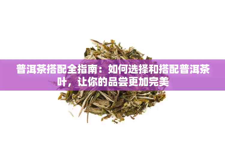 普洱茶搭配全指南：如何选择和搭配普洱茶叶，让你的品尝更加完美