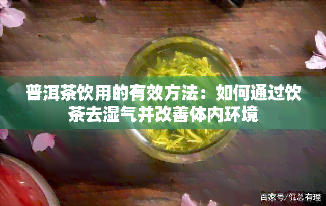 普洱茶饮用的有效方法：如何通过饮茶去湿气并改善体内环境