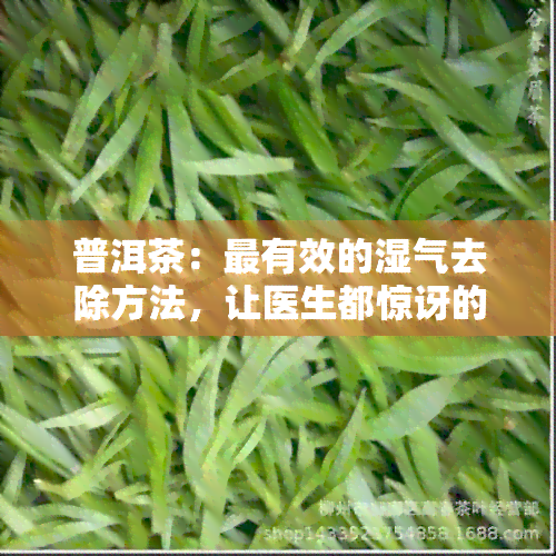 普洱茶：最有效的湿气去除方法，让医生都惊讶的体验