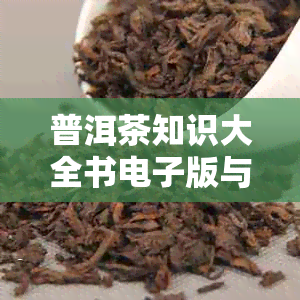 普洱茶知识大全书版与：100讲解析普洱茶奥秘