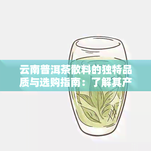 云南普洱茶散料的独特品质与选购指南：了解其产地、口感、保存方法等