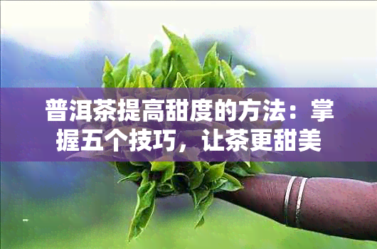 普洱茶提高甜度的方法：掌握五个技巧，让茶更甜美