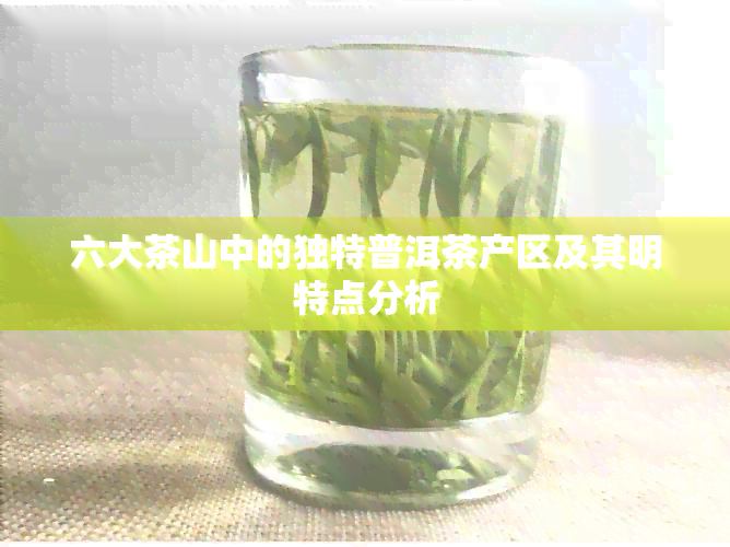 六大茶山中的独特普洱茶产区及其明特点分析