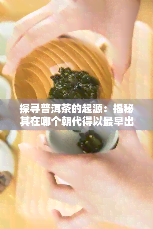 探寻普洱茶的起源：揭秘其在哪个朝代得以最早出现的历痕迹