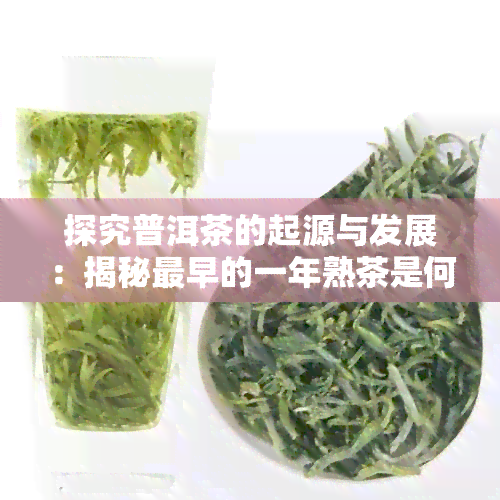 探究普洱茶的起源与发展：揭秘最早的一年熟茶是何时诞生的