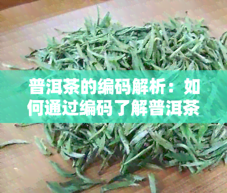 普洱茶的编码解析：如何通过编码了解普洱茶的品质、产地和历？