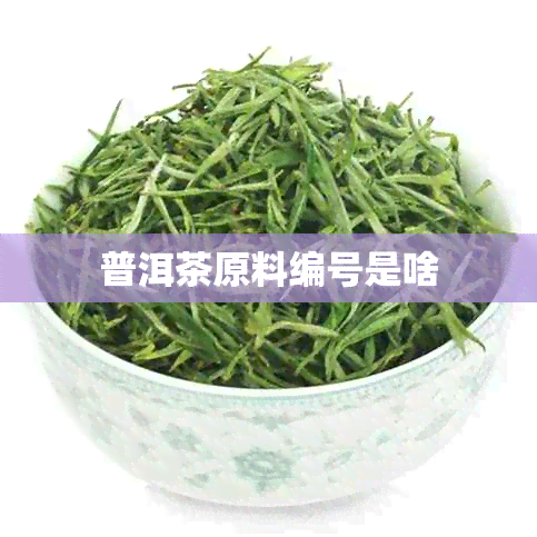 普洱茶原料编号是啥