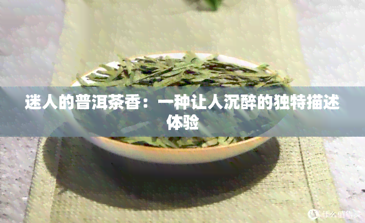 迷人的普洱茶香：一种让人沉醉的独特描述体验