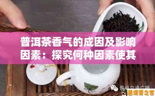 普洱茶香气的成因及影响因素：探究何种因素使其更美味