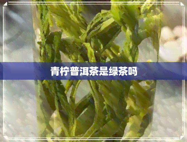 青柠普洱茶是绿茶吗