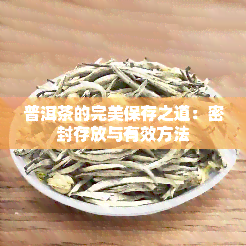 普洱茶的完美保存之道：密封存放与有效方法