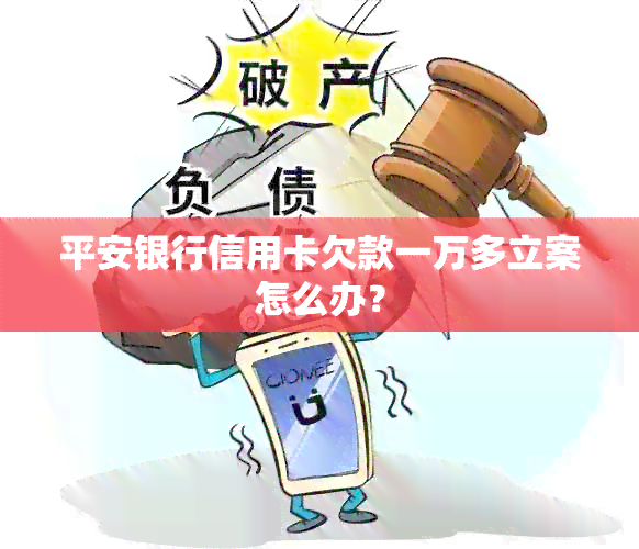 平安银行信用卡欠款一万多立案怎么办？