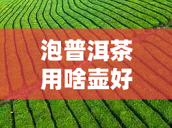 泡普洱茶用啥壶好喝一点：选择适合的壶才能品出普洱茶的醇香