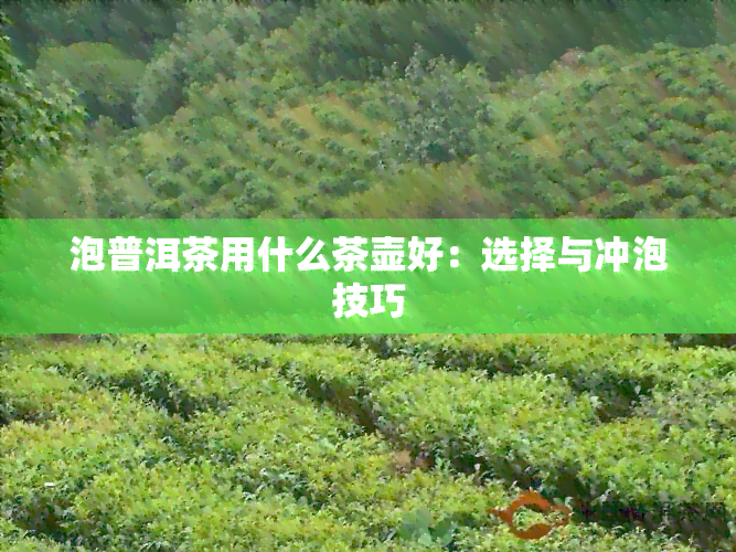 泡普洱茶用什么茶壶好：选择与冲泡技巧