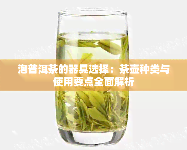 泡普洱茶的器具选择：茶壶种类与使用要点全面解析