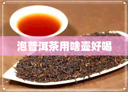 泡普洱茶用啥壶好喝