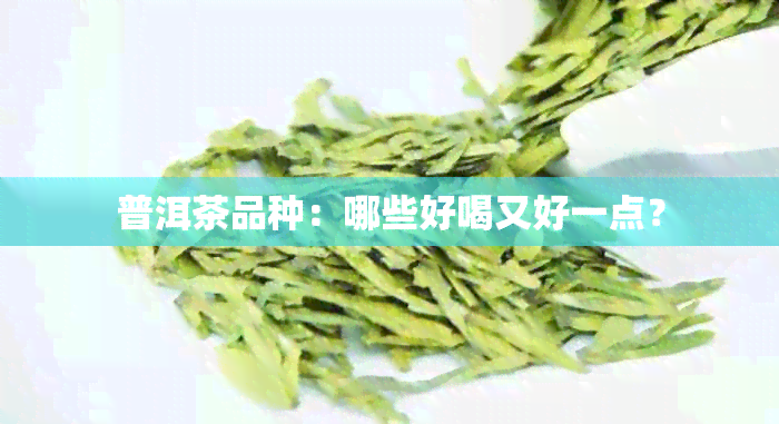 普洱茶品种：哪些好喝又好一点？