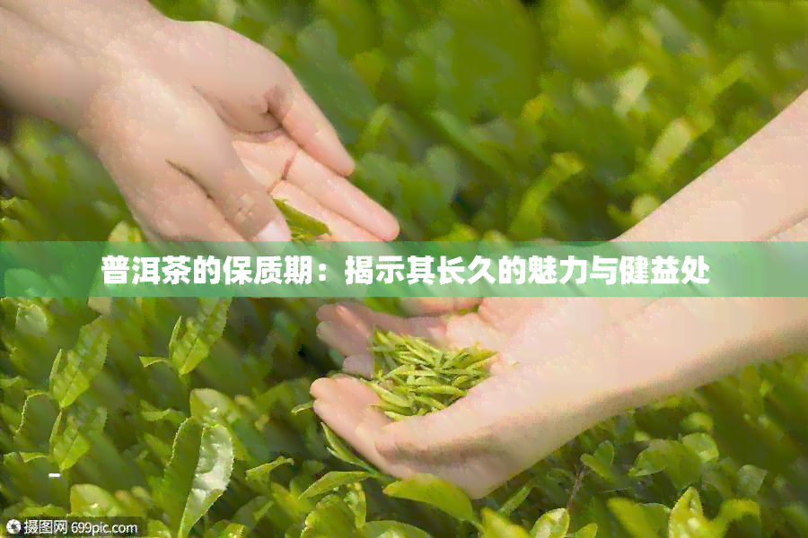 普洱茶的保质期：揭示其长久的魅力与健益处