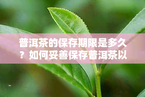 普洱茶的保存期限是多久？如何妥善保存普洱茶以长其保质期？