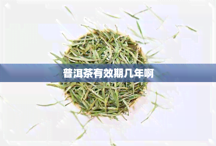 普洱茶有效期几年啊