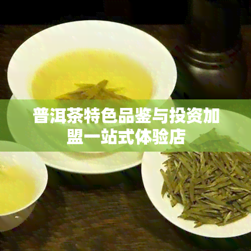 普洱茶特色品鉴与投资加盟一站式体验店