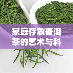 家庭存放普洱茶的艺术与科学