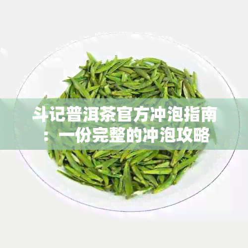 斗记普洱茶官方冲泡指南：一份完整的冲泡攻略