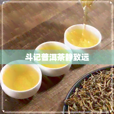 斗记普洱茶静致远