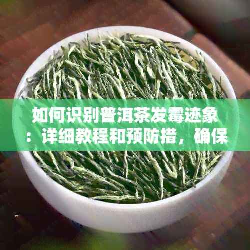 如何识别普洱茶发霉迹象：详细教程和预防措，确保您的茶叶品质