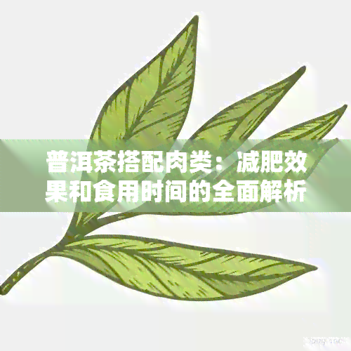 普洱茶搭配肉类：减肥效果和食用时间的全面解析