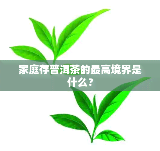 家庭存普洱茶的更高境界是什么？