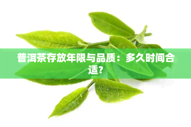 普洱茶存放年限与品质：多久时间合适？