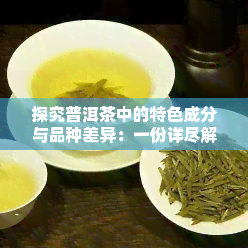 探究普洱茶中的特色成分与品种差异：一份详尽解析