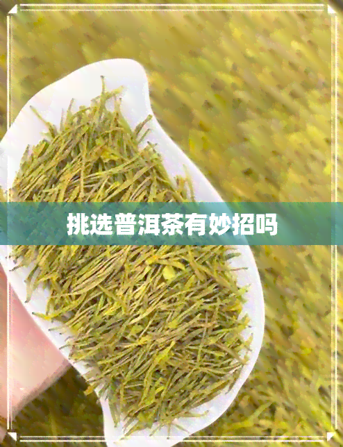 挑选普洱茶有妙招吗