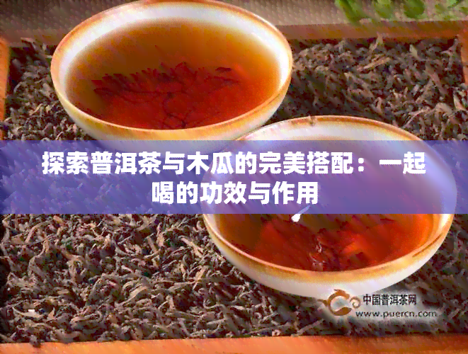 探索普洱茶与木瓜的完美搭配：一起喝的功效与作用